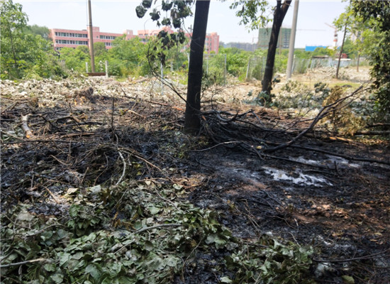 起火的草坪 通讯员 李丹 摄.jpg