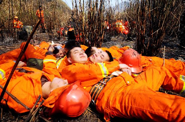 最可爱的人 熊峤 摄